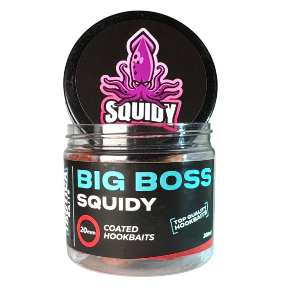 Bigboss20squidy20tapa 3.jpg