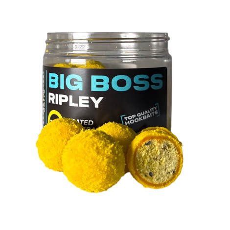 Bigbossripley 1.jpg