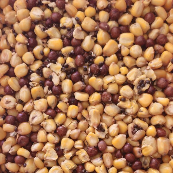 Oroncarp Diamond Mix